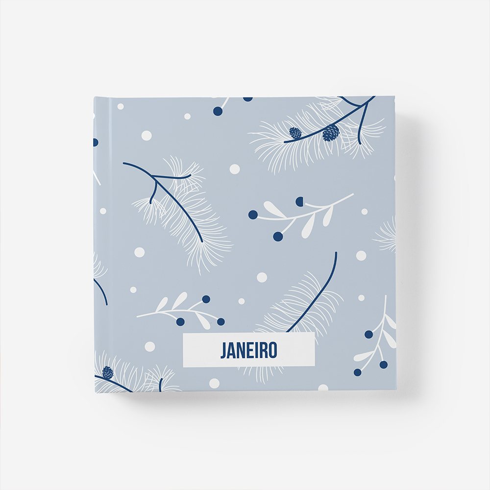 Álbum de Janeiro 1